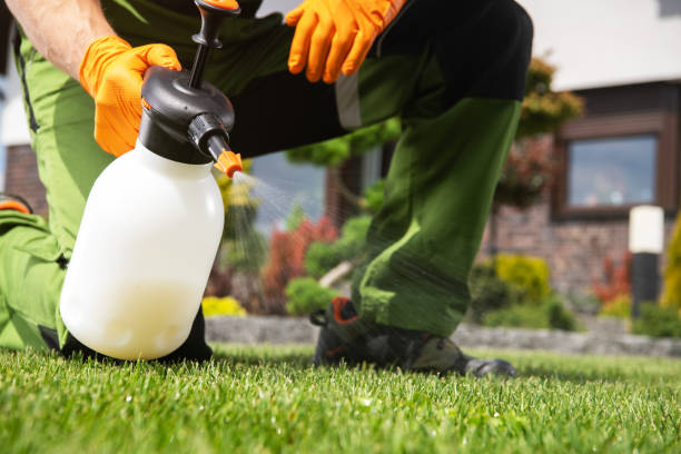 Best Bird Control  in Sistersville, WV