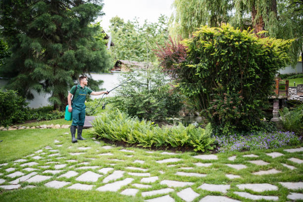 Best Mosquito Control Services  in Sistersville, WV