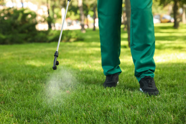Best Best Pest Control Near Me  in Sistersville, WV