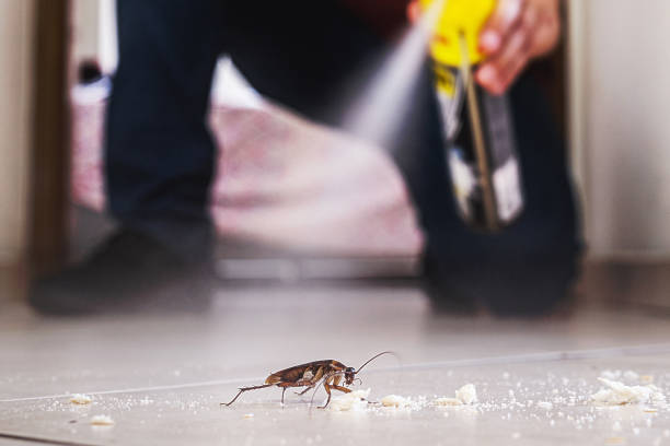 Best Pest Control Near Me in Sistersville, WV